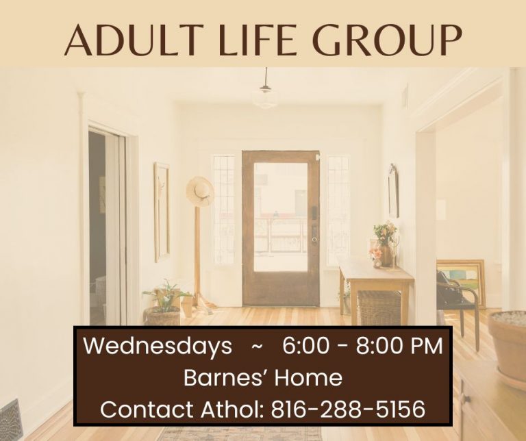 Adult Life Group (1)